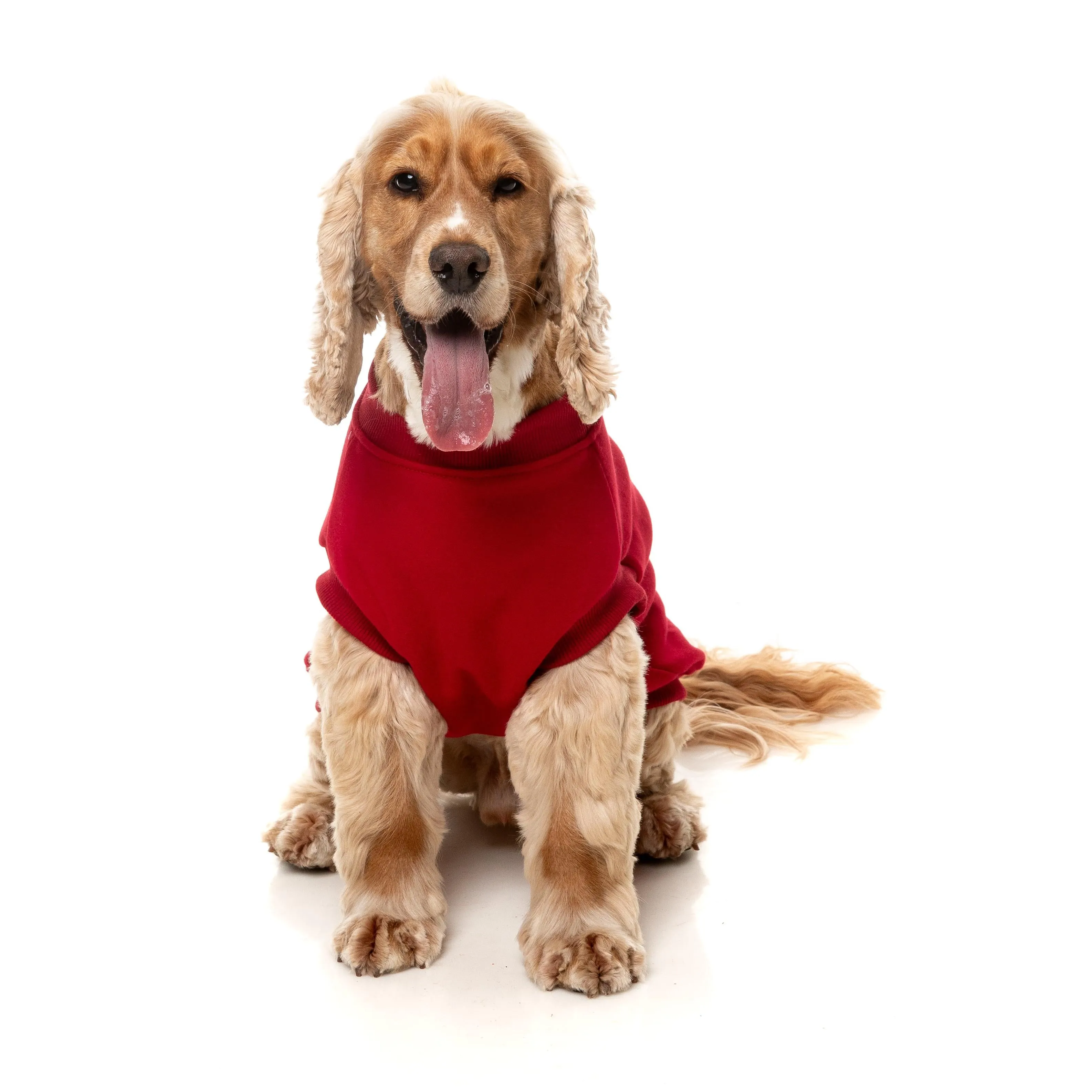 FuzzYard Dog Apparel Allday 25 Sweater Red Size 4 ^ ^